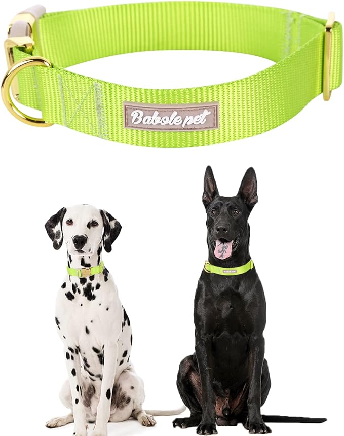 Nylon Dog Collar - Adjustable Fluorescent Green Soft Webbing Dog Collars for Small Medium Large Dogs Boy Girl Puppy Collar with Safety Metal Buckle M