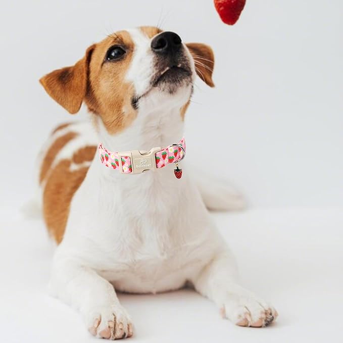 Cute Spring/Summer Dog Collar, Adjustable Pink Strawberry Dog Collars for Puppy Small Dogs, Lightweight Quick-Release Buckle Collar for Boy&Girl Dogs XS