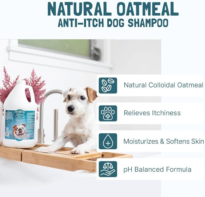 Bio-Groom Oatmeal Dog Shampoo – for Allergies and Itching, Cruelty-Free, Dog Bathing Supplies, Puppy Shampoo for Sensitive Skin, Made in USA, Anti-Itch Dog Products – 1 Gallon