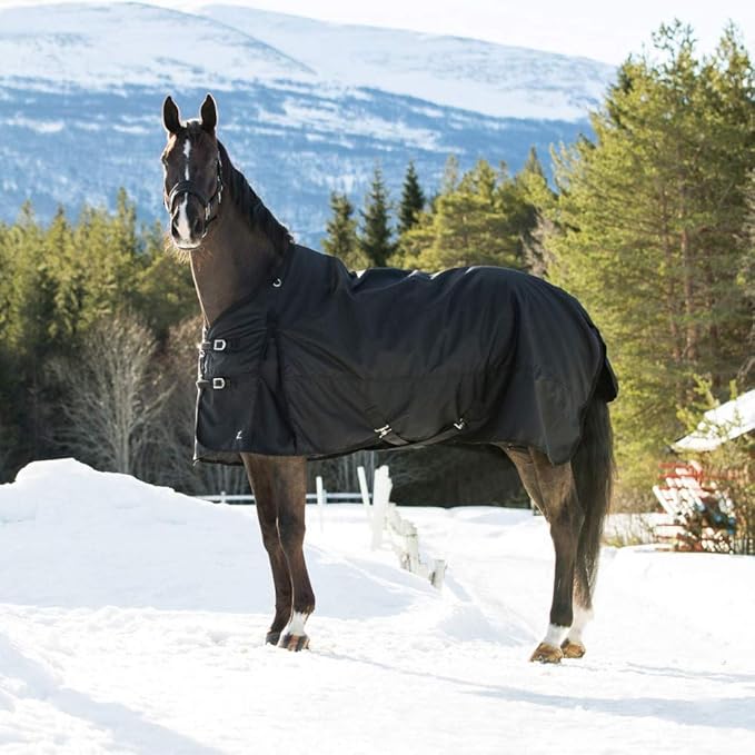 HORZE Nevada Heavy Weight 1200D Waterproof Horse Winter Turnout Blanket (400g Fill) - Black - 81 in