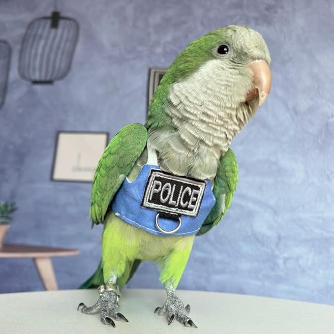 Bird Flight Harness Vest, Parrot Flight Suit with Leash, Bird Flying Clothes with Rope and Handle for Outdoor Activities (with Leash,Sun Conure)