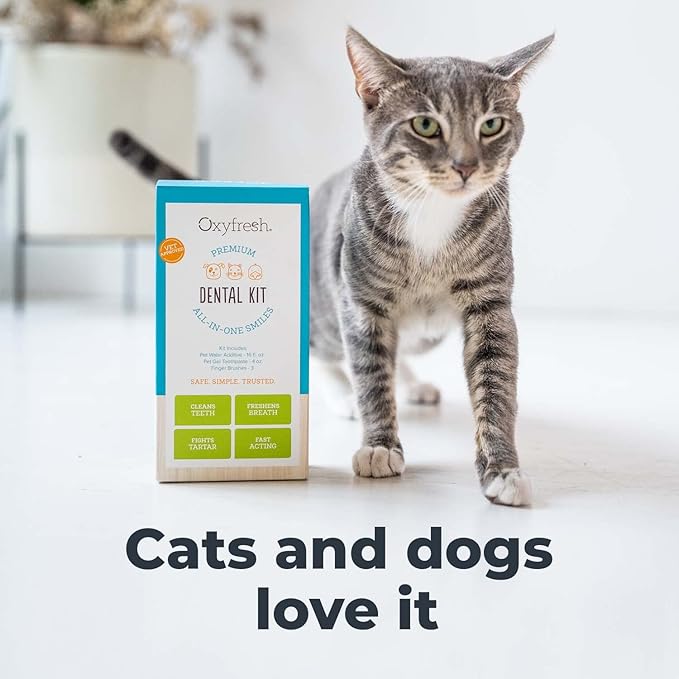 Oxyfresh Premium Pet Dental Kit for Dogs & Cats – Easy Solution for Dog and Cat Fresh Breath, Clean Teeth, Control Plaque & Tartar – Vet Formulated Pet Toothpaste 4oz + Water Additive 16oz Kit