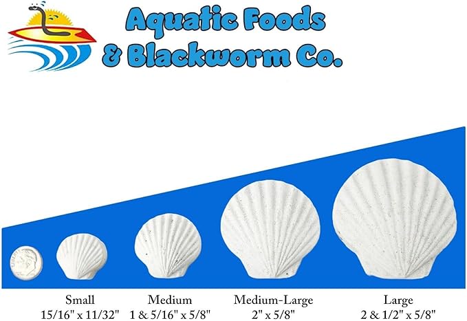 Aquatic Foods Inc. Calcium Feeder Small, Medium & Large Shells. Extra Thick Shells for Shrimp, Snails, Crabs, Crayfish, Hermit Crabs and All Tropical Fish…310 Count Jar