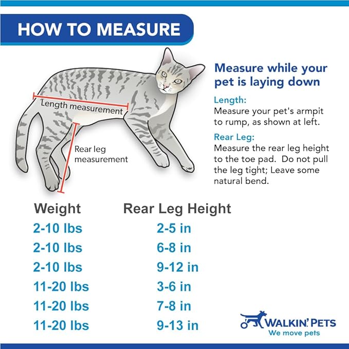 Walkin' Wheels Lightweight – for Small Cats 2 to 20 Pounds – Veterinarian Approved – Cat Wheelchair for Back Legs, for Cats 11-20 lbs, 7-8 inches Leg Height – Pink