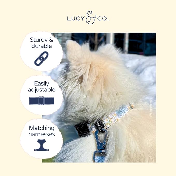 Lucy & Co. Sunshine and Daffodils Dog Collar, Adjustable Durable Dog Collar with Cute Print, Small