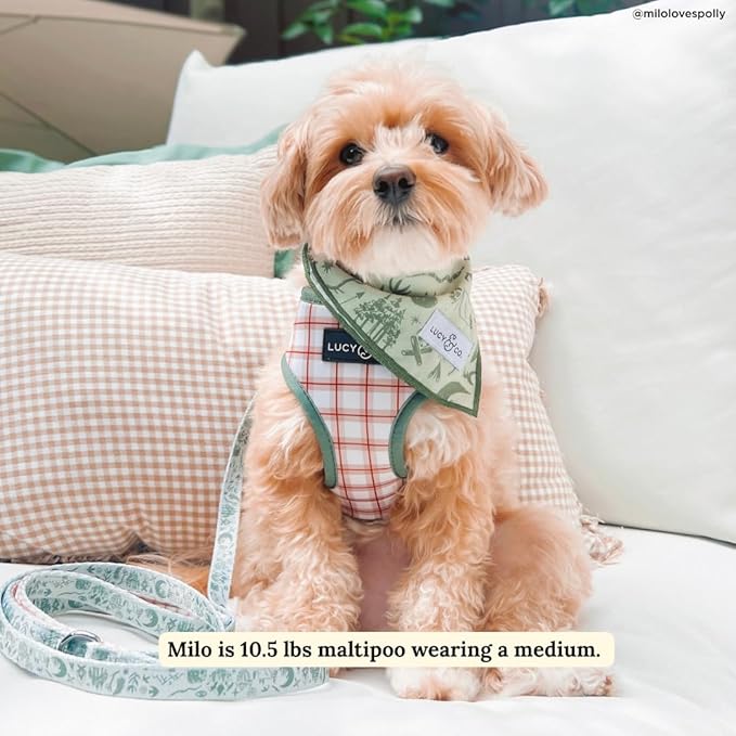 Lucy & Co. Cute Reversible Dog Harness Walking Halter - Best Designer Pet Harnesses for XS - XL Dogs - Padded Adjustable Vest for Easy Walking-Large-Green Outdoor Plaid