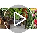 10 Inch 4 Pack Plant Pots, Plastic Flower Pot for Indoor & Outdoor with Drainage Holes & Saucer, Plaid Pattern Planters Garden Pots for Herbs