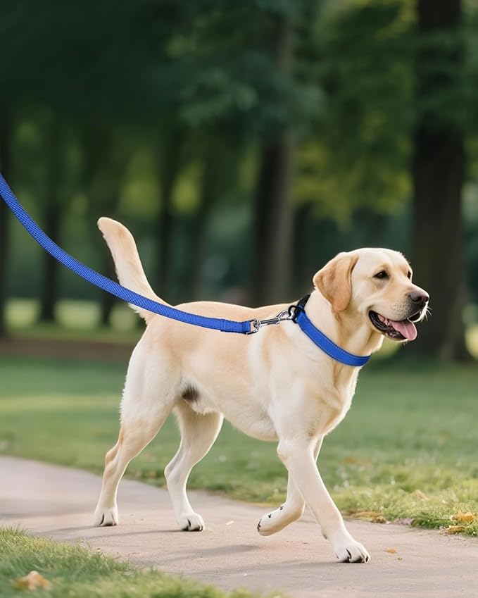 Joytale Large Dog Collar, Reflective and Adjustable Nylon Pet Collar with Quick-Release Buckle for Extra Large Dogs, Navy Blue, XL