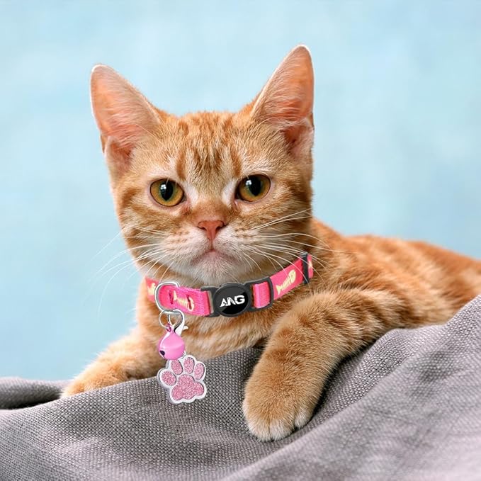 Personalized Breakaway Cat Collars Glow-in-The-Dark with ID Tag, Bell - Safety Quick - Release, Customizable for Female Male Kittens & Cats (Pink)