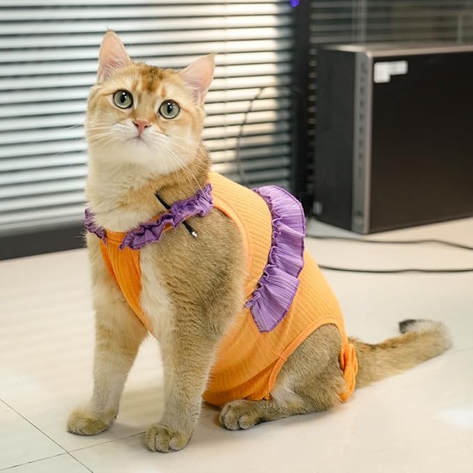 Cat Recovery Suit,Kitten Onesie After Surgery,E-Collar Alternative for Abdominal Wound and Skin Diseases,Soft Breathable Bodysuit After Spay（Orange-XL）