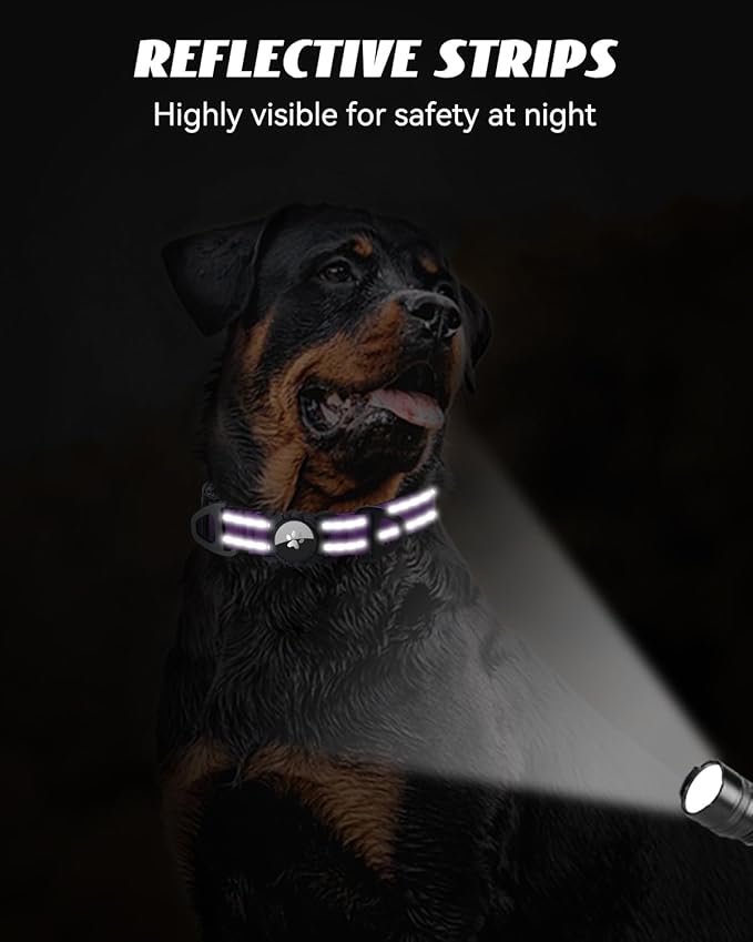 Joytale Airtag Dog Collar, Reflective Pet Collar with Waterproof AirTag Holder, Dual D-Rings, Soft Padded Adjustable for Large Dogs, Purple, L