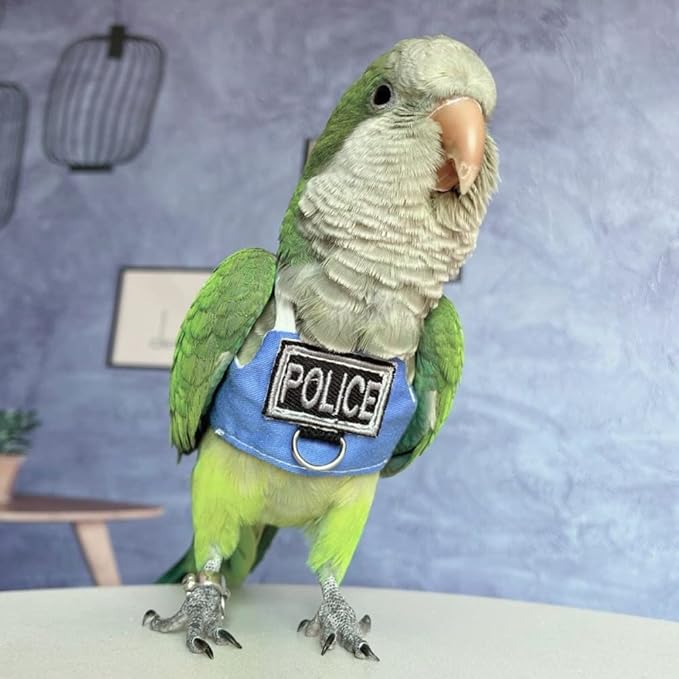 Bird Flight Harness Vest, Parrot Flight Suit with Leash, Bird Flying Clothes with Rope and Handle for Outdoor Activities (with Leash,Senegal)