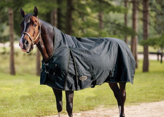 Country Pride Paladin 1200D High Neck Heavyweight Turnout Blanket (66)