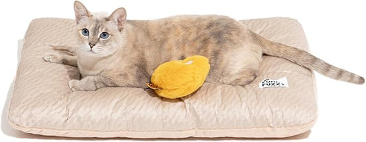 FUNNY FUZZY 2 in 1 Dog Bed Crate Pad Mat, Washable Reversible Pet Floor Mats,Fluffy Kennel Pad for Small Large Sized Dog,Indoor Cats,Sleeping Mattress, 23.6" × 17.9", Beige