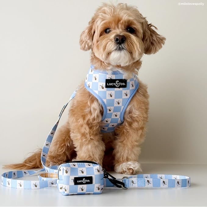 Lucy & Co. Bumbling Around Reversible Dog Harness, Adjustable Comfort Fit with Dual Leash Attachments, Medium