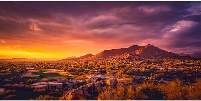 AWERT 72x24 inches Sun and Desert Terrarium Background Mountain Oasis Gobi Reptile Habitat Background Vinyl