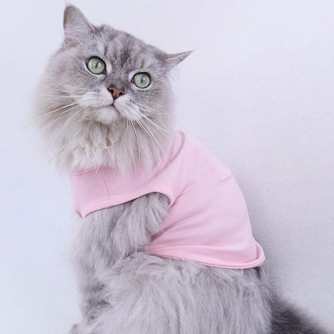 Custom Dog Birthday Shirt,Personalized Pet Apparel Print with Name Age Number,Pet Birthday Outfit,Lightweight Breathable Cotton Vest for Small Medium Large Dogs Cat (Grey, X-Small)