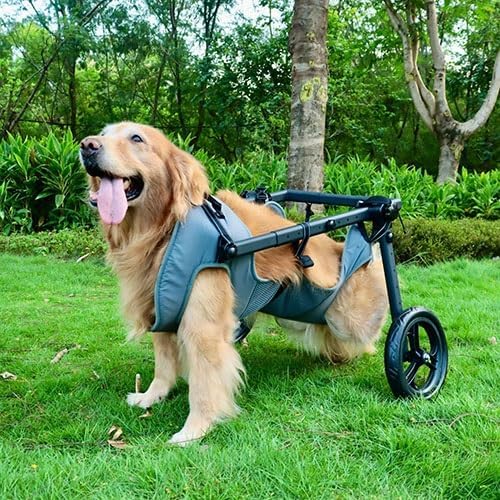 Pet Trolley Adjustable Hind Leg Disabled Dog Mobility Aid Light Rehabilitation Legs Wheelchair Walk Tools(X-Large)