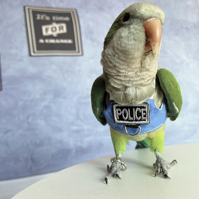 Bird Flight Harness Vest, Parrot Flight Suit with Leash, Bird Flying Clothes with Rope and Handle for Outdoor Activities (Without Leash,Hahn's Macaw)