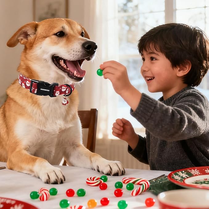 DOGWONG Christmas Dog Collar, Red Santa Claus Print Cute Dog Collars Winter Holiday Male Female Adjustable Dog Collar for Medium Large Dogs