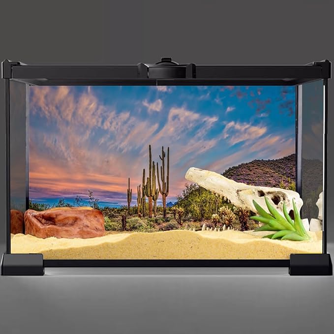 AWERT 24x16 inches Terrarium Background Blue Sky Cloud Huge Cactus Oasis Gobi Reptile Habitat Background Vinyl