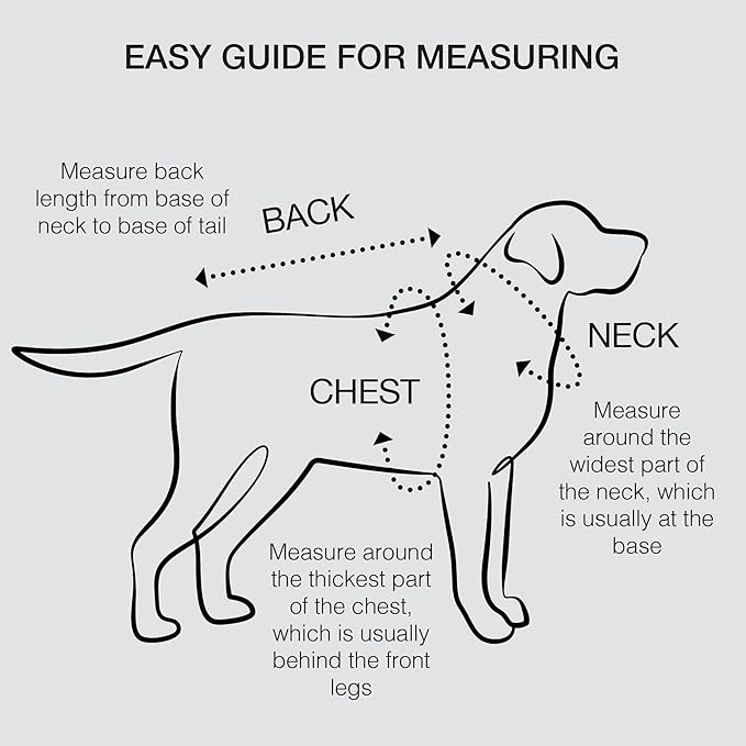Rocky – The Orginal Lightweight Hooded TEE 100% Organic Cotton Dog Hoodie Pet Coat Sweater for Small, Medium, Large Dogs, Pink Color Block, XX-Small
