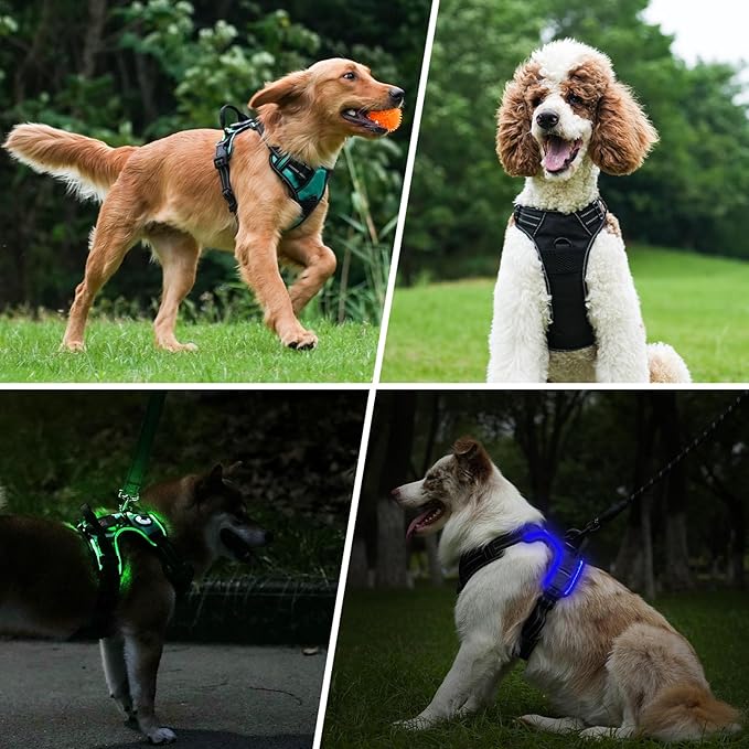 Taglory Light Up Dog Harness, Rechargeable No Pull Dog Vest with 3 Lightning Modes, Reflective Dog Harness with 2 Leash Clips & 4 Adjustable Slide Strips for Large Dogs, Black-Purple, XL