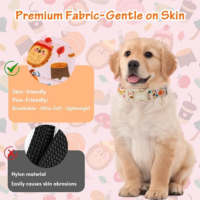 Fall Woodland Dog Collar, Playful Squirrel & Pumpkin Print on White Collar for Small Medium Large Dogs, Breathable, Adjustable & Comfortable Puppy Collar for Fall Walks & Pet Photos-M