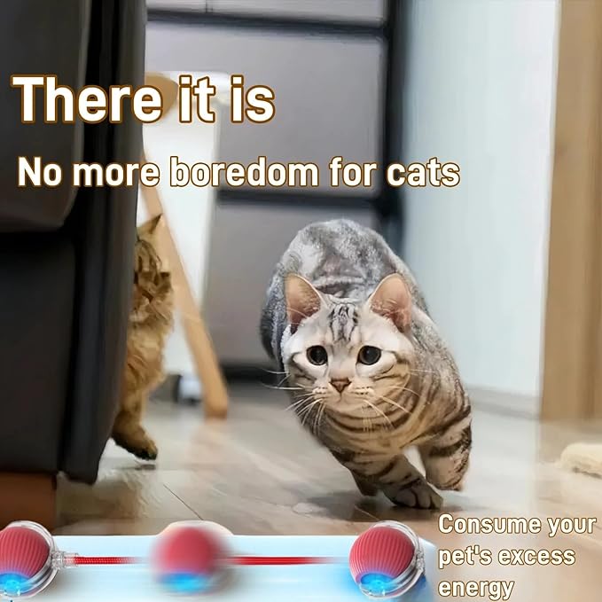 Interactive Cat Toys for Indoor Cats, Agility Move Cat Balls,Motion Activated Cat Balls, Cat Toys for Bored Indoor Cats(Grey)