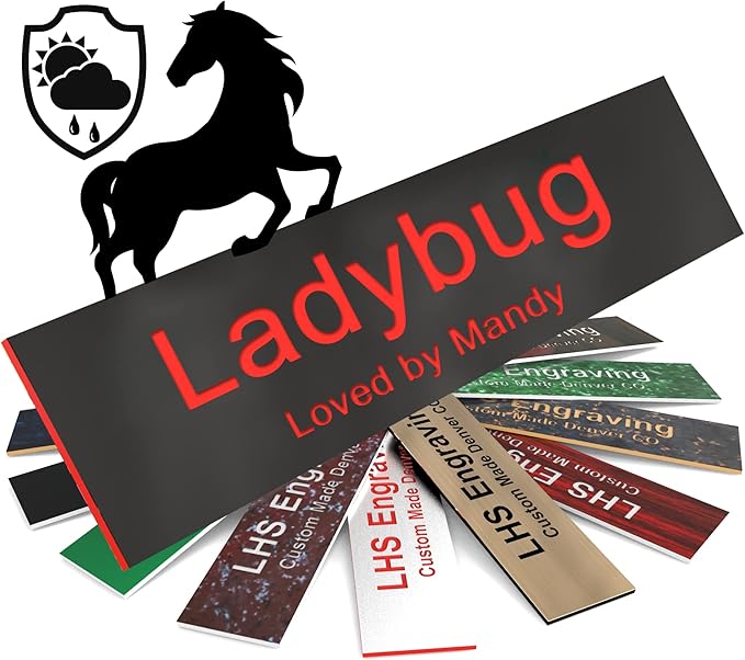 Horse Stall Name Plate, 2x10 Personalized Stall Signs, UV Protected, All Weather Adhesive, Hanging, Mounting or Other, Plastic with Red Letters - Made in USA - B19