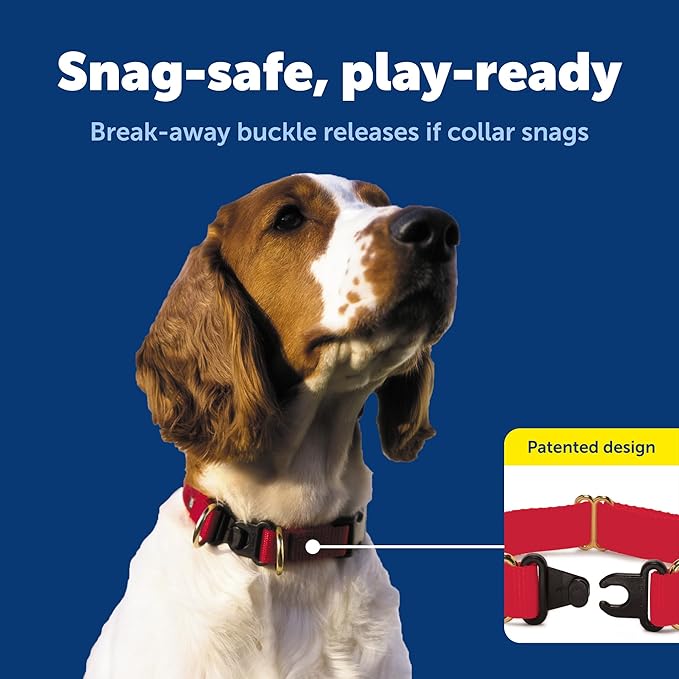 PetSafe KeepSafe Collar for Dogs - Protects Against Collar Accidents - Long Lasting - Durable - Adjustable - Breakaway - Outdoor-Safe - Small - 3/4 In. Wide - Blue