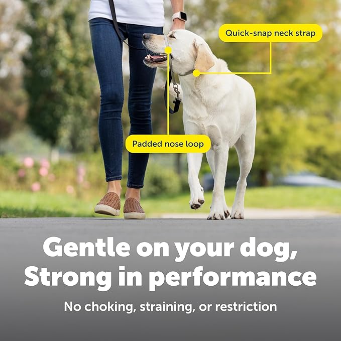 PetSafe Gentle Leader Headcollar No-Pull Dog Collar - Helps Improve Walks - Durable Nylon Construction - Padded Nose Loop - Adjustable Fit - Comfort Walking Halter - Large, Raspberry Pink