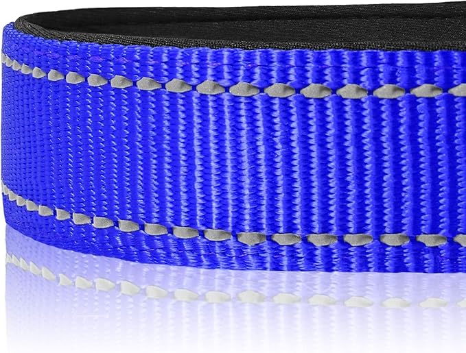 Joytale Reflective Dog Collar, Soft Neoprene Padded, Metal D-Ring, Nylon Pet Collar Adjustable for Puppy and Small Dogs, Navy Blue, XS