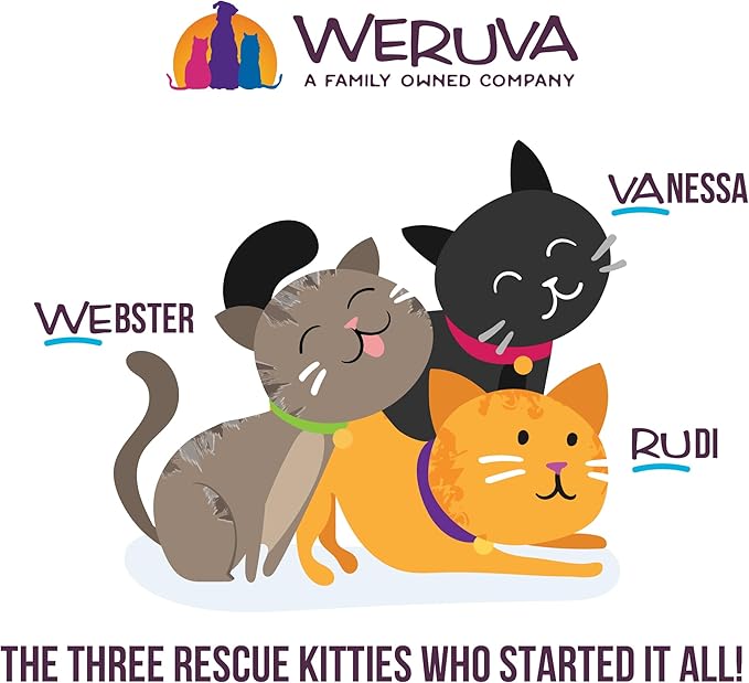 Weruva Cats in The Kitchen, Kitty Gone Wild with Wild Salmon Au Jus Cat Food, 6oz Can (Pack of 24)