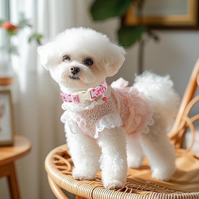 Strawberry Bow Dog Collar for Small Dogs - Cute Pink Spring/Summer Girl Dog Collars, Lightweight Adjustable Female Girly Dogs Collars with Quick Release Buckle S