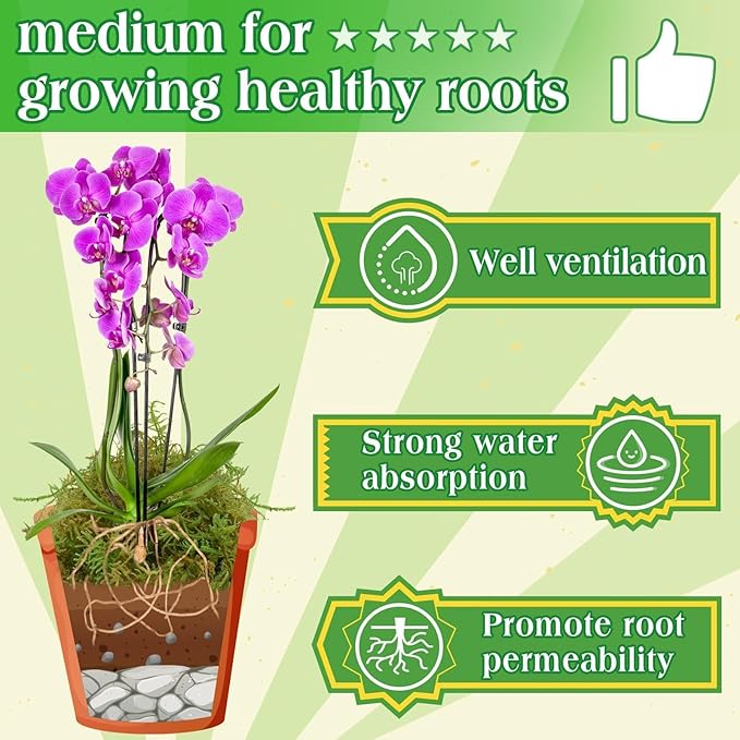 Halatool 6OZ Green Moss for Indoor Plants, 8QT Orchid Moss for Repotting, Forest Moss for Potted Plants, Real Moss for Succulent Carnivorous Houseplant Terrariums Garden Reptiles