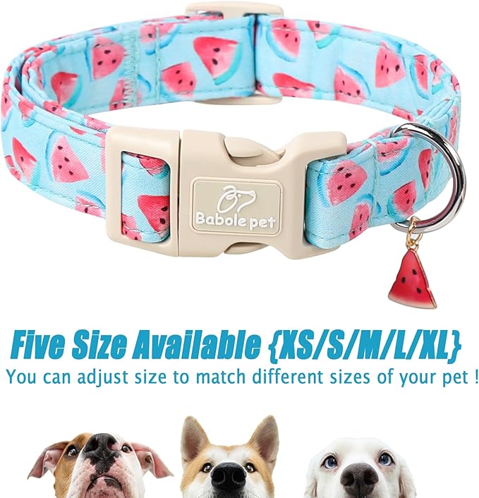 Adjustable Summer Dog Collar, Cute Watermelon Dog Collars for Small Dogs, Lightweight Quick-Release Buckle Collar for Boy&Girl Dogs S