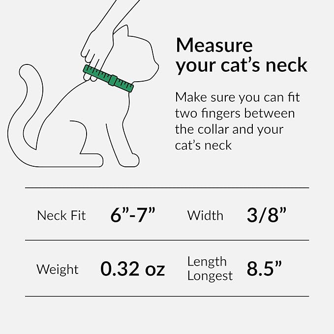 CollarDirect Leather Cat Collar, Cat Safety Collar with Elastic Strap, Kitten Collar for Cat with Bell Black Blue Red Orange Lime Green (Neck Fit 6"-7", Mint Green)