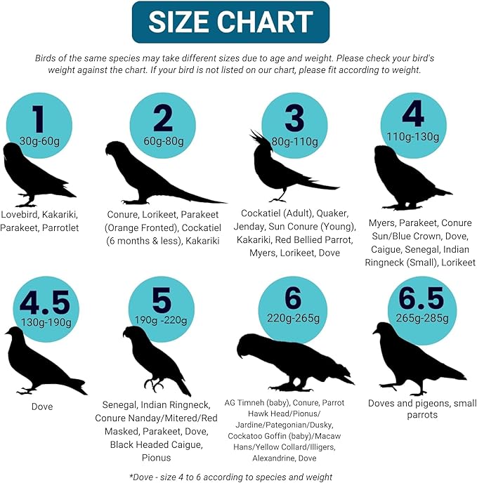 Bev's Bird Boutique Regular Flyper Adjustable Bird Diaper | Reusable, Washable Cloth | Comfort Fit for Parrot, Cockatiels, & Other Small Birds | Fashionable Avian Accessories, Regal, Size 6