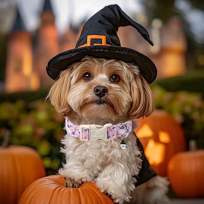 Halloween Dog Collar Cute Wizard Ghost Puppy Collar - Light Comfortable Adjustable Pet Collars for Small Medium Large Girl Boy Dogs M