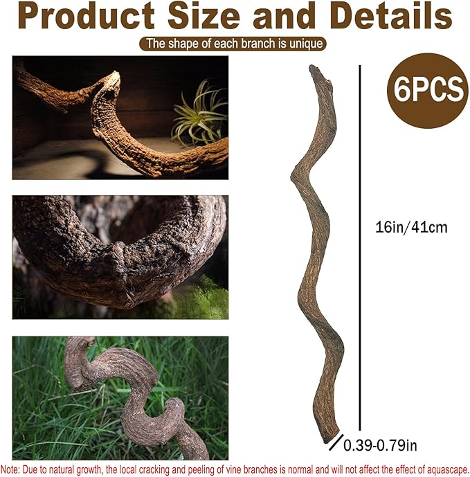 BNOSDM Reptile Forest Climbing Branch Decor Crested Gecko Climb Wood Natural Branches Tree for Snake Frog Chameleon Spider Bearded Dragon Terrarium Habitat Tank Accessories,6PCS