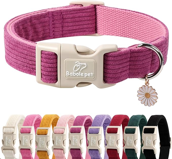 Cute Corduroy Dog Collar - Fuchsia Adjustable Dog Collars for Medium Dogs 25-50lbs, Fade-Proof with Secure Snap & Little Charm, Christmas Birthday Gift, M
