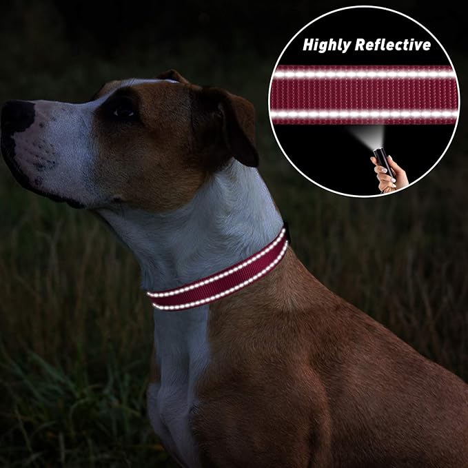 TagME Reflective Nylon Dog Collars, Adjustable Classic Pet Collar with Quick Release Buckle for Extra Large Dogs, Hot Pink, 1¼" Width