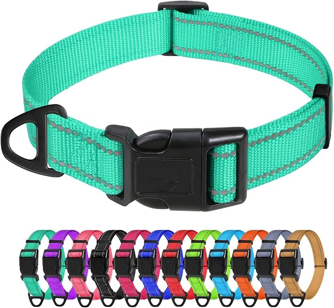 TagME Reflective Nylon Dog Collars, Adjustable Classic Pet Collar with Quick Release Buckle for Small Dogs, Turquoise, 5/8" Width