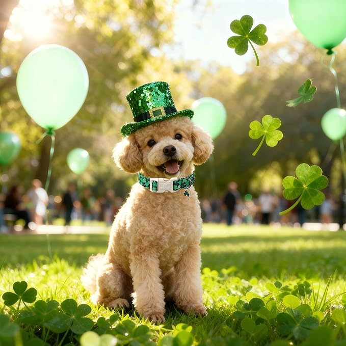 St Patricks Day Dog Collar for Large Dogs - Green Lucky Clover Dog Collars, Lightweight Adjustable Irish Festival Shamrock Dogs Collars with Quick Release Buckle L