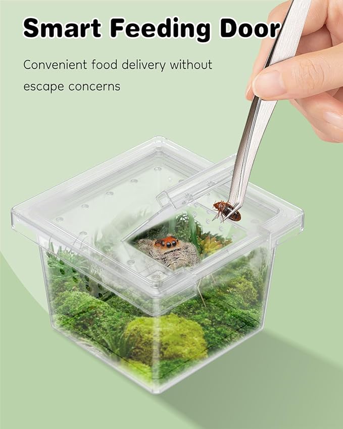 Pawfly 20 Pcs Mini Spider Terrarium Breeding Box, Transparent Plastic Jumping Spider Enclosure Cricket Keeper Tarantula Enclosure, Small Reptile Hatching Container for Scorpion Centipede Gecko Mantis