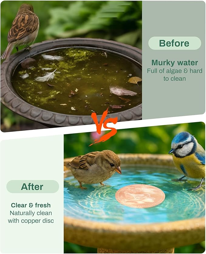 Bird Bath Purification Disk Pure Copper Outside Winter Solar Power Birdbath Heater Deicer Cage Hanging Bowl Metal Warmer Deck Railing Glass Concrete Ceramic Stand Outdoor Water Fountain 4PCS