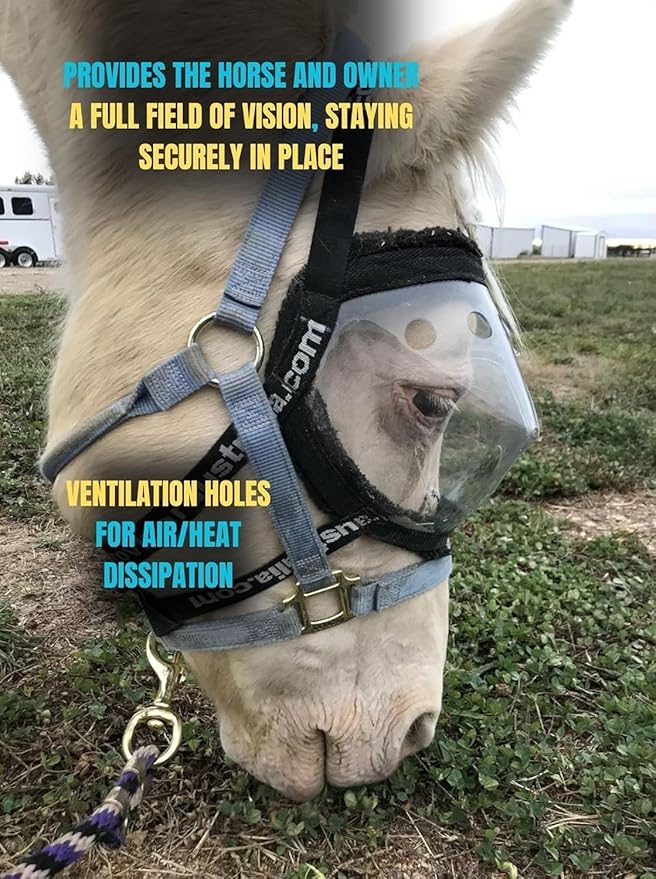 Recovery Vizor, (Size Full - Clear UV Tint) Medical and Preventative Horse Eye (Goggle) Protection Mask for Uveitis, Injury, Scratch or Corneal Infection, Blindness.