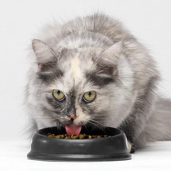 Open Farm Catch-of-The-Season Whitefish Grain-Free Dry Cat Food, Wild-Caught Fish Recipe with Non-GMO Superfoods and No Artificial Flavors or Preservatives, 2 lbs