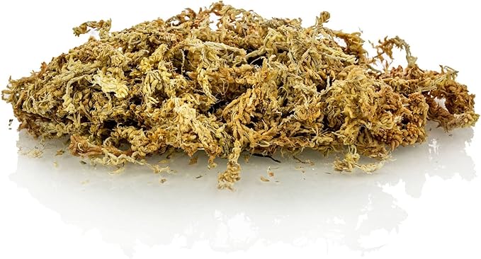 Gardenera Ixora Plant Potting Mix - Unlock Robust Growth and Stunning Flowers with Our High-Performance Formula - 20 Quart